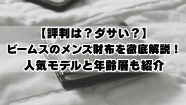 【評判は？ダサい？】ビームスのメンズ財布を徹底解説！人気モデルと年齢層も紹介